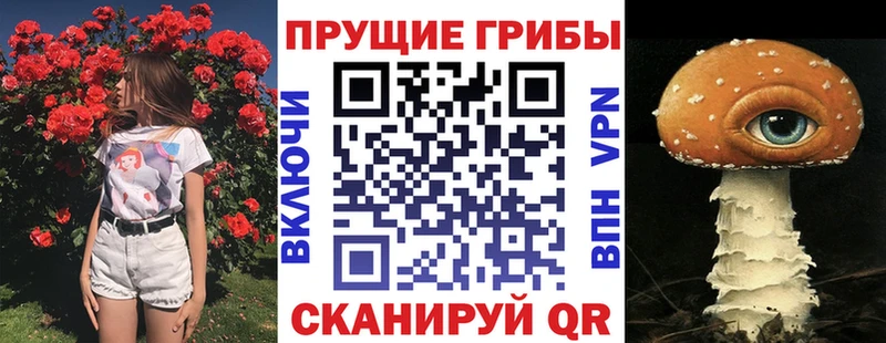 Псилоцибиновые грибы прущие грибы  где купить наркоту  Коломна 